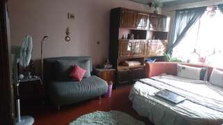 Апартаменты Apartment on Raisy Okipnoi 5 Киев Апартаменты-студио-51